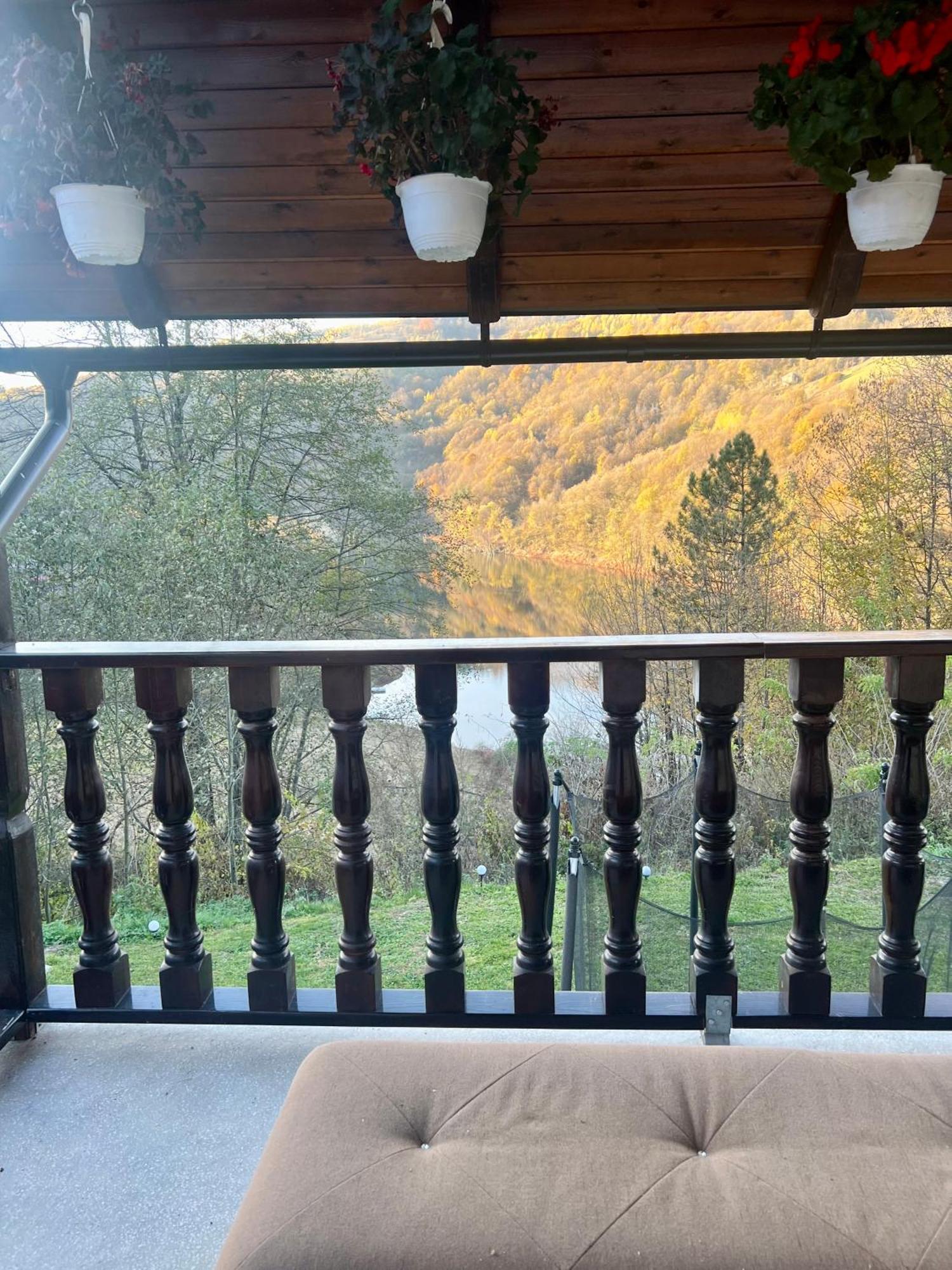 Cabana Baraj Apuseni Mountains Mihoesti Exterior photo